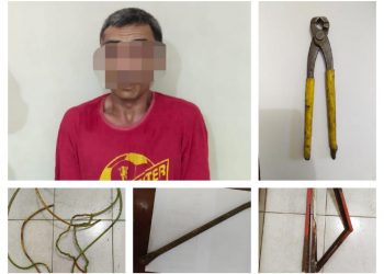 Pesawaran.lappung.com