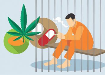 Pesawaran.lappung.com