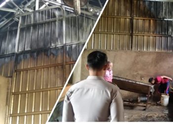 Pesawaran.lappung.com